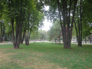 Tasmajdan Park