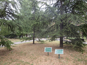 Pionirski Park