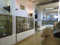 Jordan Archaeological Museum 