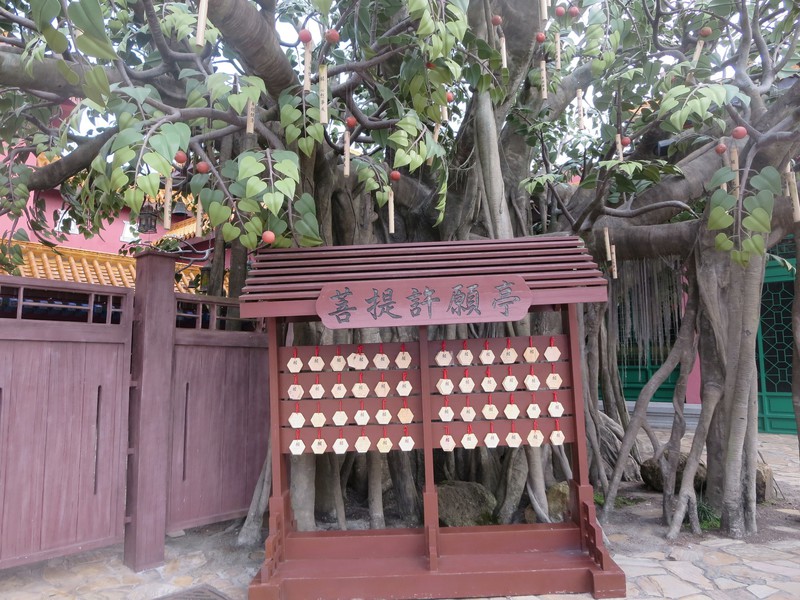 Ngong Ping Village