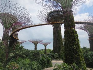 Gardens by the Bay