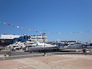 Cannes Harbour