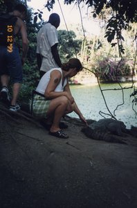 My Mother is Petting a Crocodile