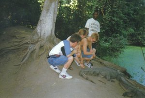 We're Petting a Crocodile