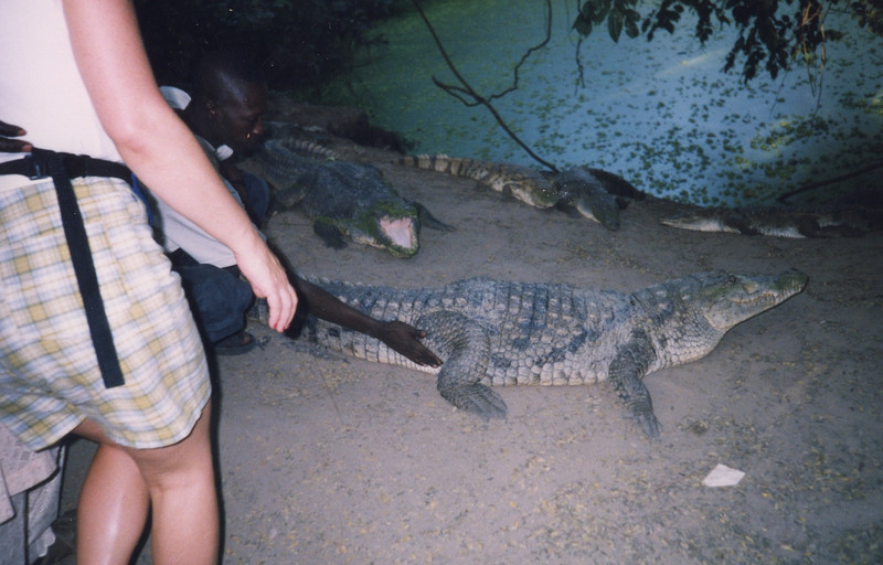 Kachikali Crocodile Park