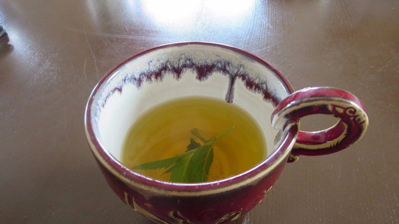 Home Grown Mint Tea