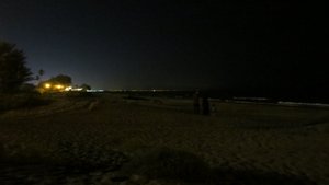 Beach at Nighttime