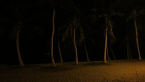 Beach at Nighttime