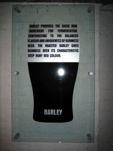 Information about Barley