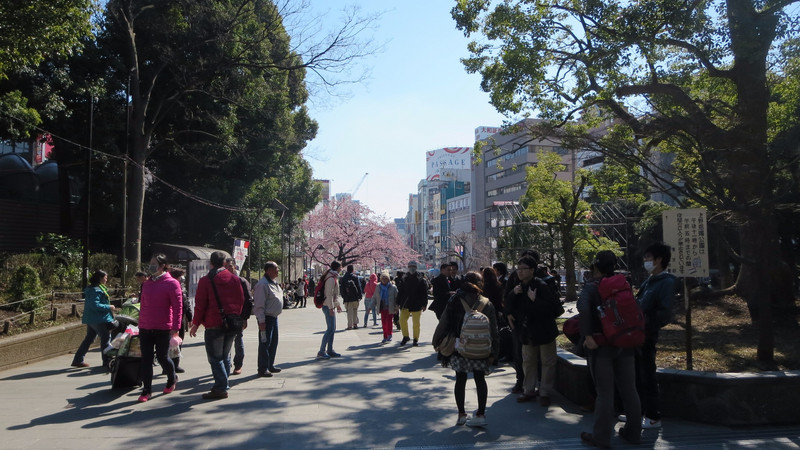 Going to Ueno Park