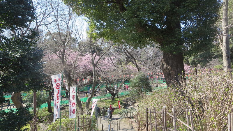 View from the Kiyomizu Kannon-dō