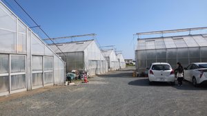 Several Greenhouses