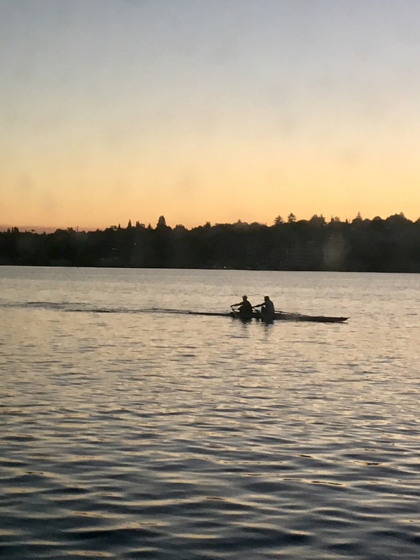 5 am rowing on lake union