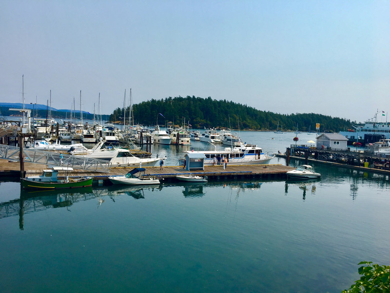 Friday Harbor | Photo