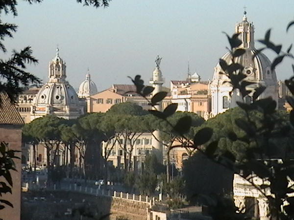 skyline over the forum
