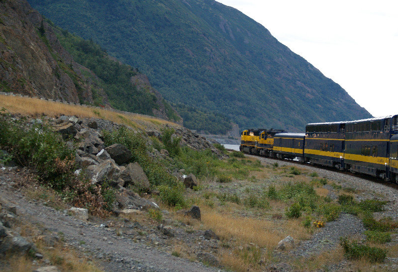 Yellow: Alaska Railroad and Grass in Fall