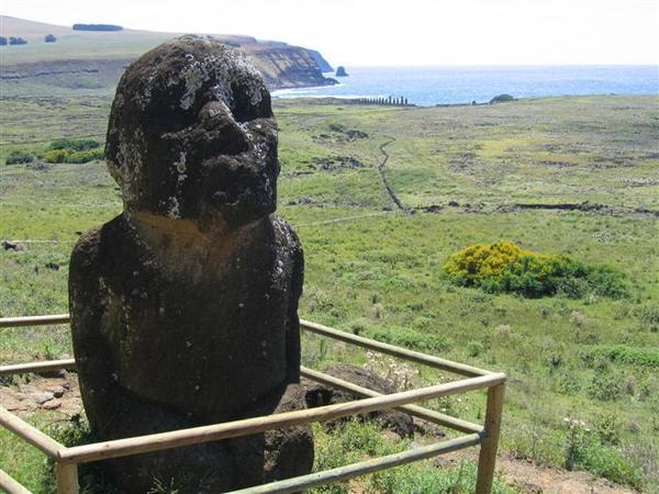 Budha Moai, in the (far) back the 15 restored Moai