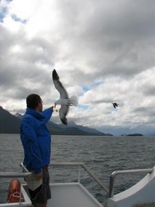 Feeding the seaguls
