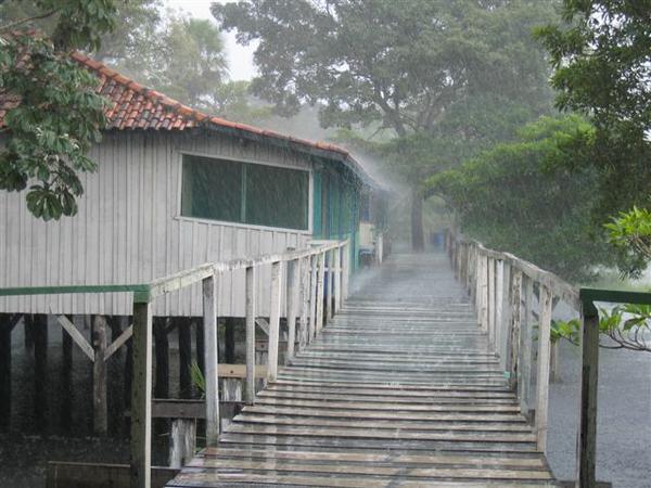 Yes, it is the rainy season here !
