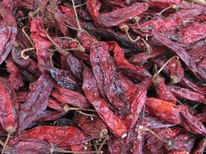 Cold weather, hot chilis! Surena market.