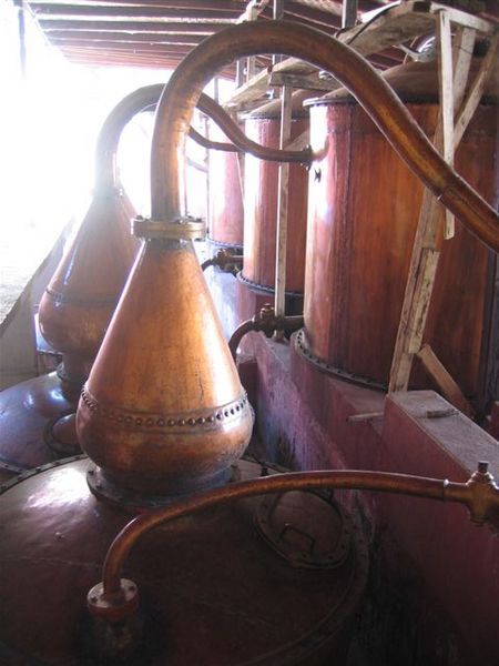 The destilling vats for making Pisco!
