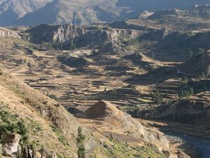 Colca canyon, also with many terrases.