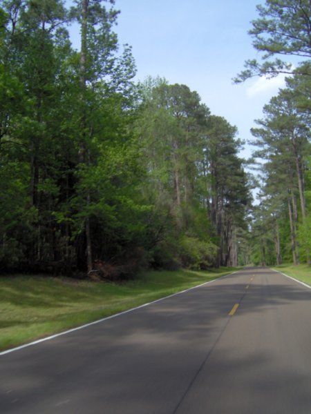 The Trace parkway