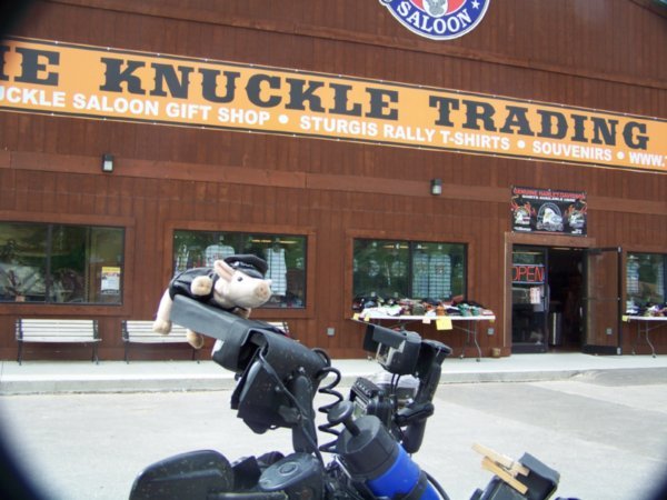 My Beanie Baby Knuckles at Knuckle Saloon