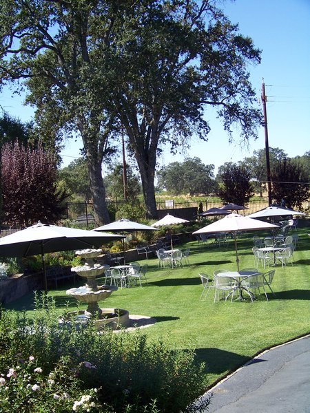 Renwood Winery picnic area