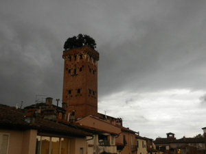 Lucca's Torre Guinigi
