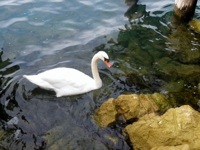 Torri del Benaco, Lake Garda