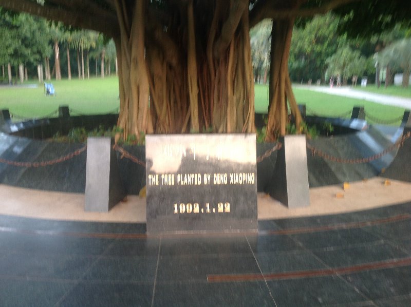 Deng Xiao Ping's tree