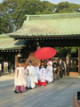 Mariage au temple Meiiji