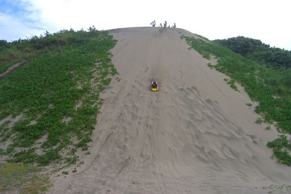 Franny sand boarding