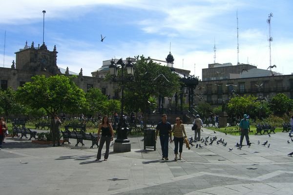 Beside the Government Palace, Guadalajara