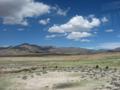 Altiplano view