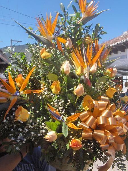 Flowers, Antigua