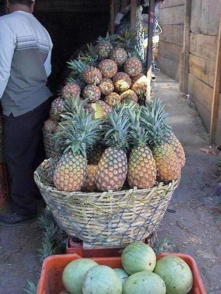 Pineapples anybody