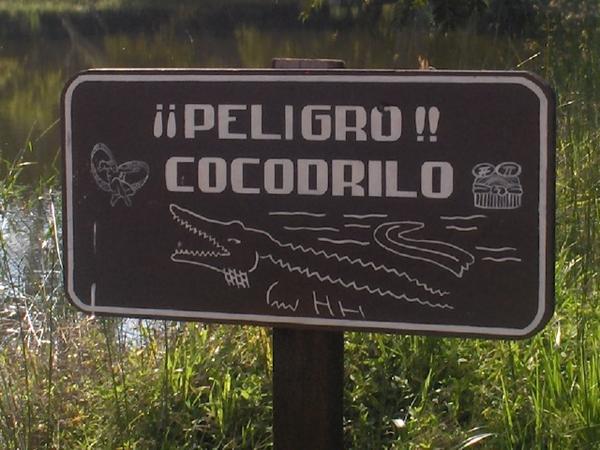 Danger crocodiles, Tikal