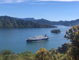 The ferry from the North Island arriving into Picton