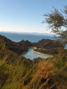 More Abel Tasman scenery