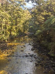 River on the Abel Tasman Track