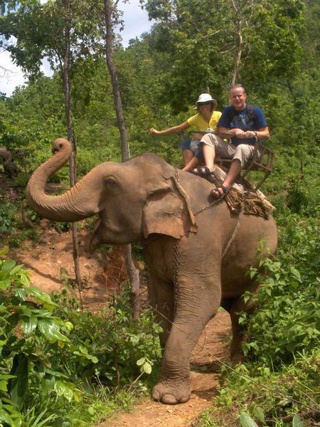 Up on an elephants back for an hours ride around the jungle