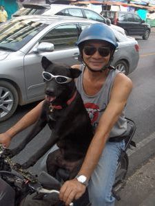 Bangkok biker & co-pilot