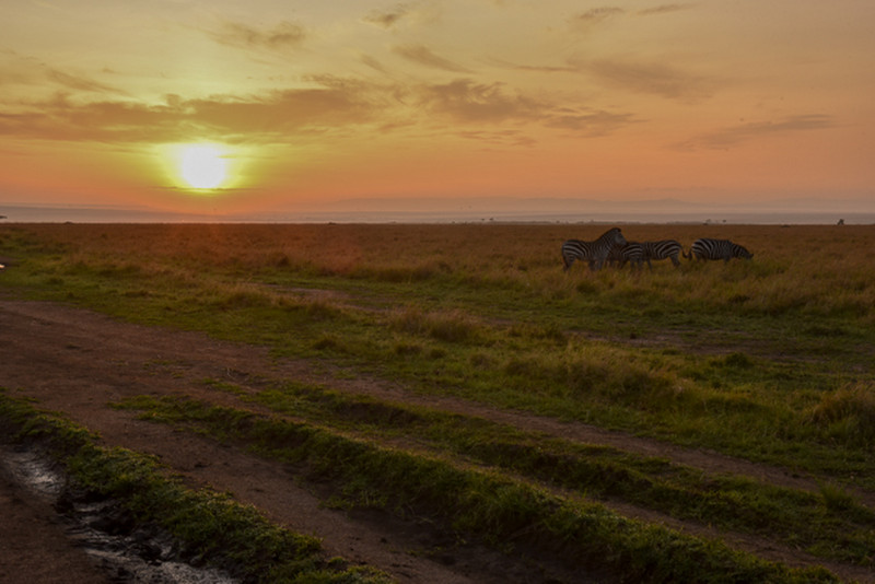 Sunset on Masai Mara