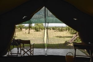 Tenting on the Serengeti