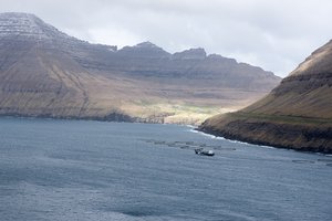 Salmon farming and remote villages
