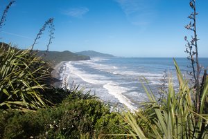 Tasman Sea Coast