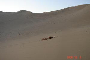 Footprints, tire tracks, and camels