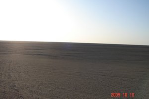 Gobi landscape